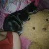 mela.yu