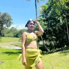 vimechelle
