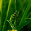 azkaphoto01