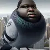 soi_codocy