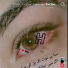 user4324629911610
