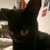 ellaluvly