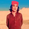 alishar786804123gmail.co