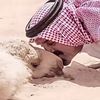 مقدم سهوم المناياء