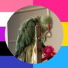 colors_08