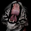 wary.wolf