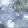 eru7020