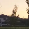 sararusconi
