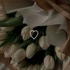 ._simra_