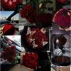 alia.shadoufa