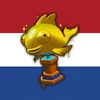 hoi3114backupaccount