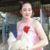 thanhgalai