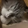 yuumaa8_27