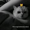 userr.457_