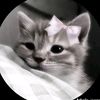 miracl558