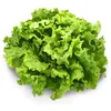 salade.transport