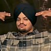 haider.haider3512