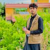 adalat.mohammadi