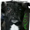 marley.samy