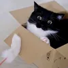 senhoresqueleton