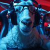 sevdagoat7