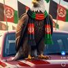 haqyar_12