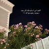 zaenab_2639