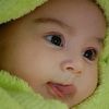 lytlek4