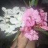niako_natia