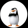 fernando_jsjf919..skfo