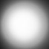 el_mapache_cuantico