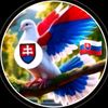 user41680536