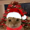 eufrankkj
