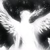 real_who3