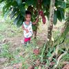 eduwin.nasareno6
