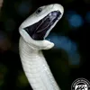 blackmamba_674