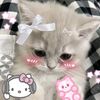 kinaya_684