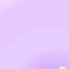 mishell_2122