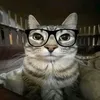 daniel_o1308