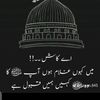 ali.hamzaqadri