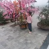 m.th.nhi1