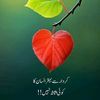 user8703152357578