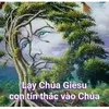 nguyn.liu651