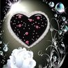 kity.silva2