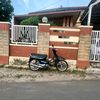 nosnoscanos