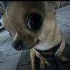 user880202908