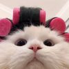 jieellzytnn_