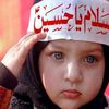 naqvi.syed51272