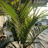 bangfir0639
