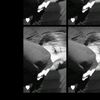 lilii62_